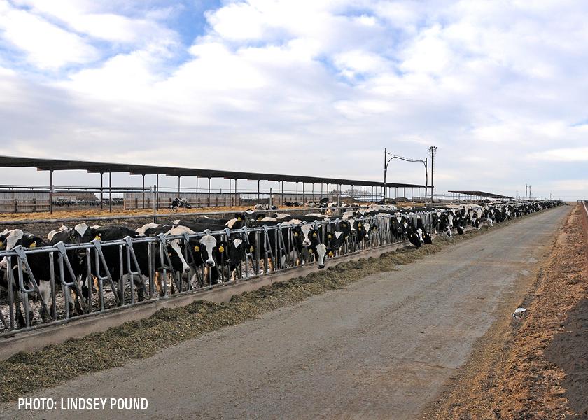 Dairy Thought Leaders Address Challenges And Risk Management Tools